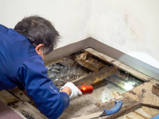 Best HVAC Mold Remediation in Lake City, GA