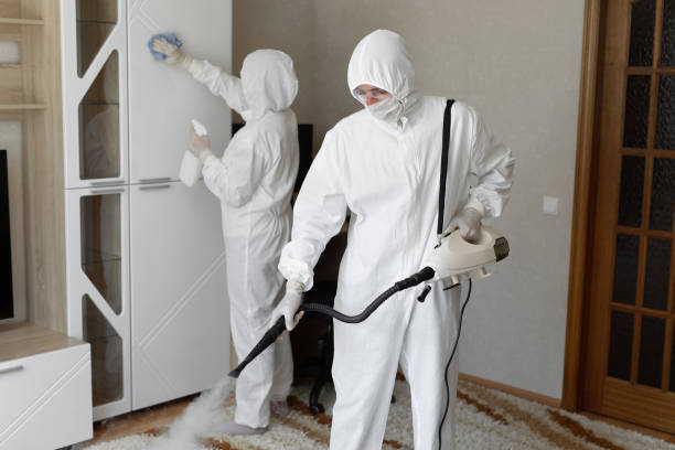 Best Attic Mold Remediation in Lake City, GA