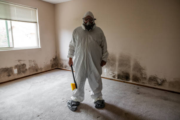 Best Residential Mold Remediation in Lake City, GA